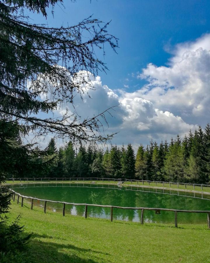 Apartment Perunika Cerkno Εξωτερικό φωτογραφία
